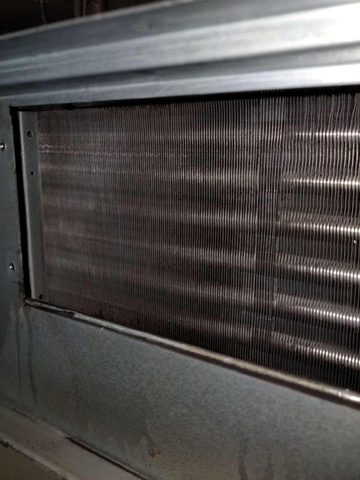 ��Ƭ��ϴ��