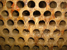 ������{��������ϴǰ